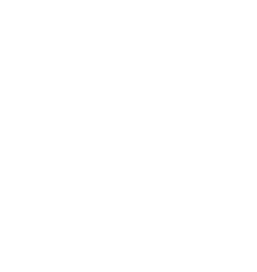 Solar & Renewables
